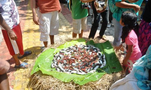 harvest Celebrations at Goa Chitra Museums